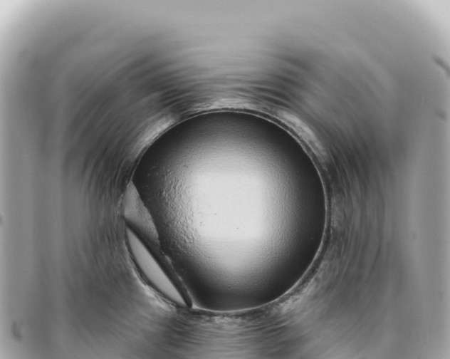 X0000095881241200801251133