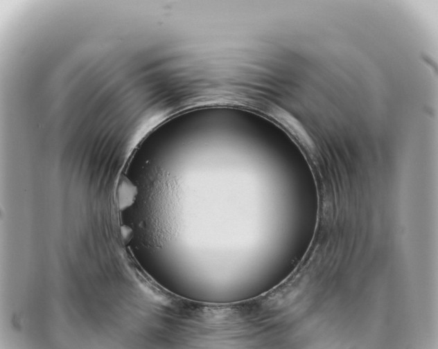 X0000095881242200801251133