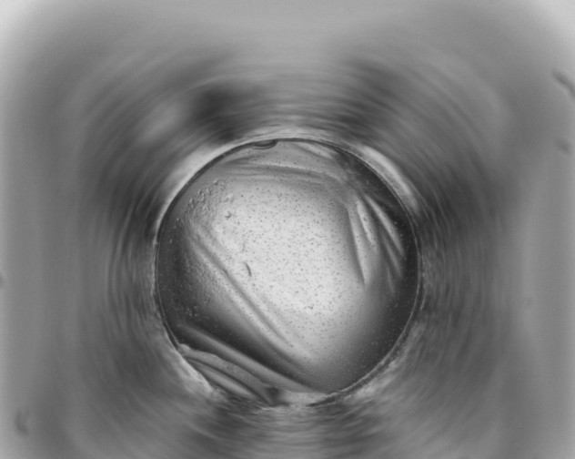 X0000095881244200801251133