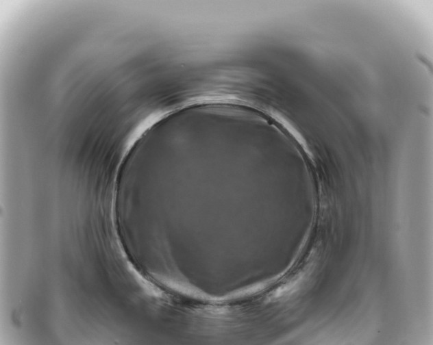 X0000095881245200801251133