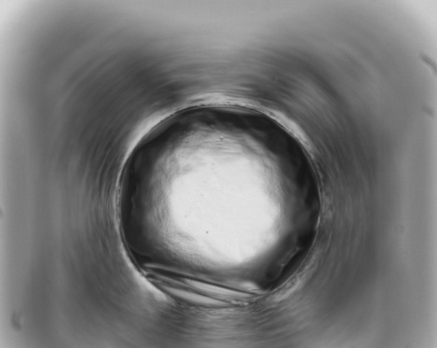 X0000095881247200801251133