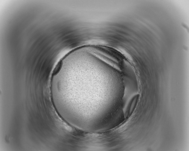 X0000095881248200801251133