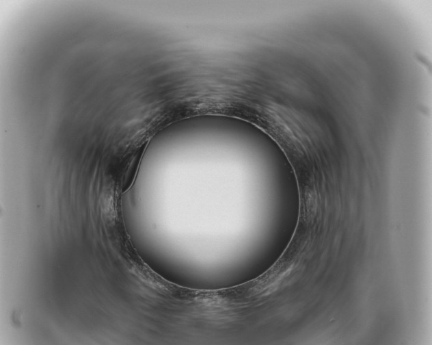 X0000095881250200801251133