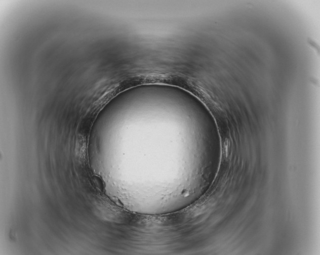 X0000095881251200801251133