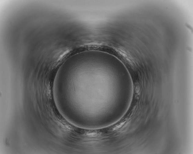 X0000095881252200801251133