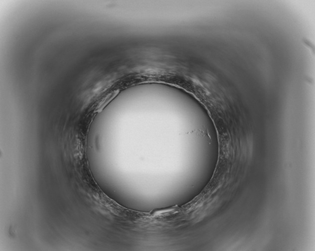 X0000095881253200801251133