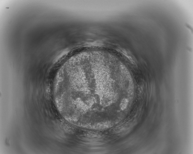 X0000095881254200801251132