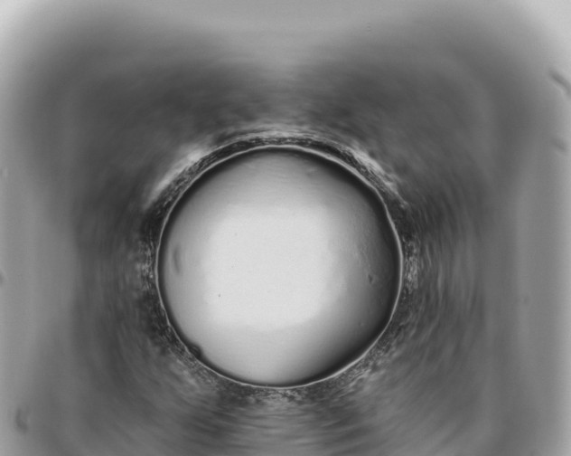 X0000095881255200801251132