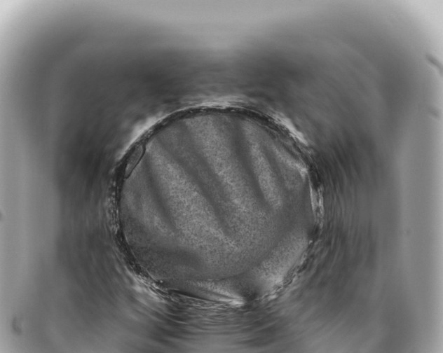 X0000095881256200801251132