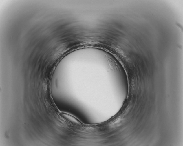 X0000095881257200801251132