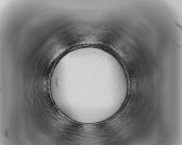 X0000095881258200801251132