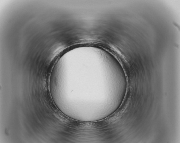 X0000095881259200801251132