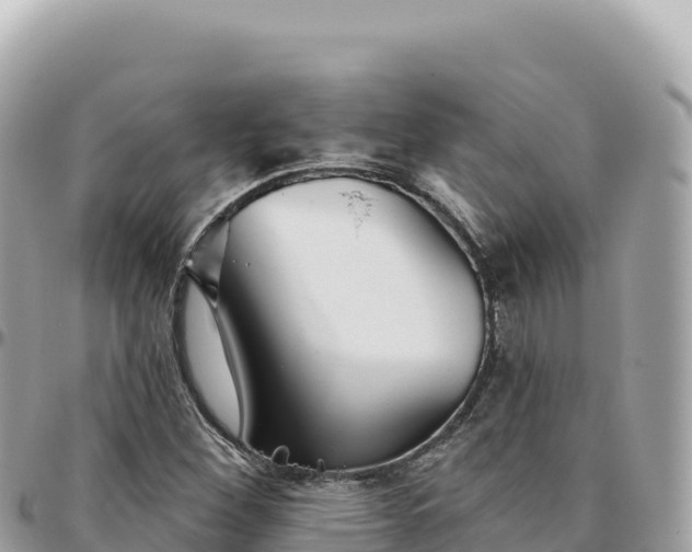 X0000095881260200801251132