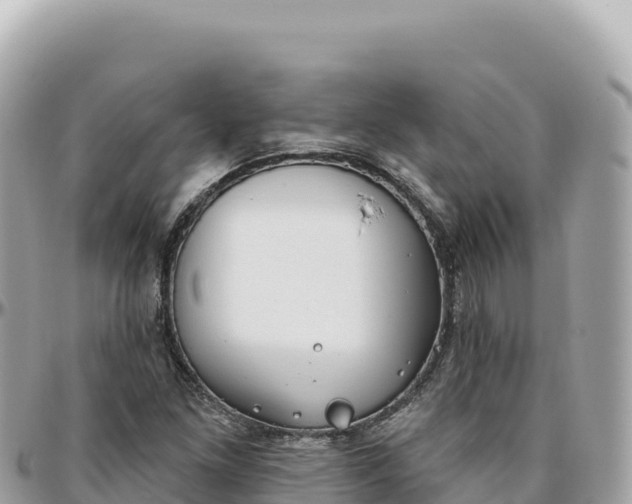 X0000095881261200801251132