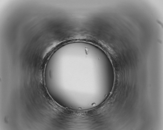 X0000095881262200801251132