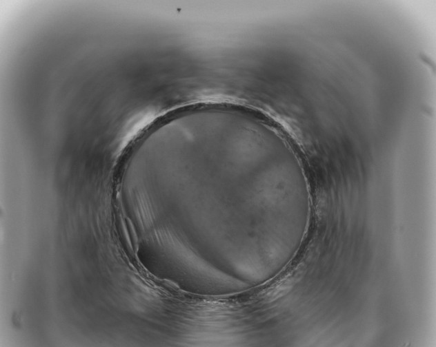 X0000095881263200801251132