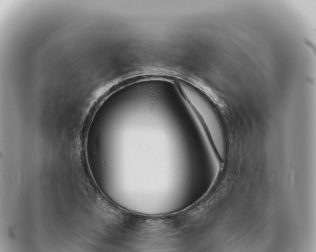 X0000095881264200801251132