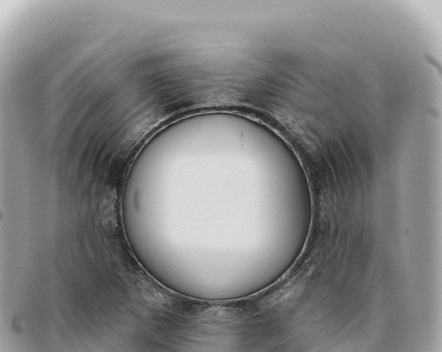 X0000095881265200801251132