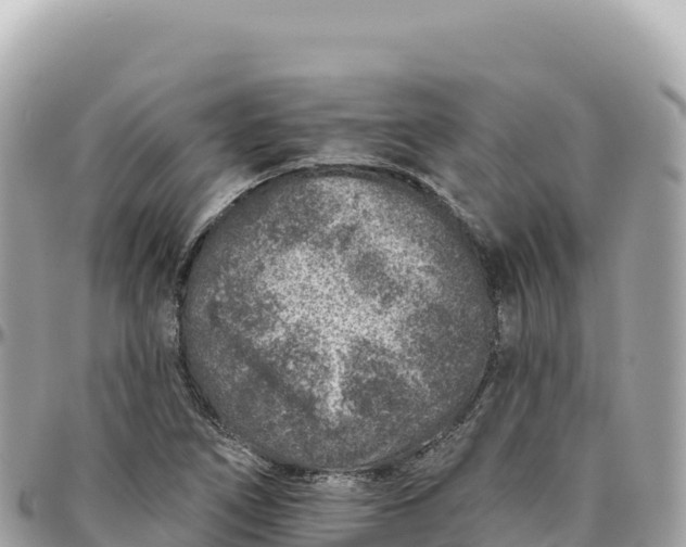 X0000095881266200801251132