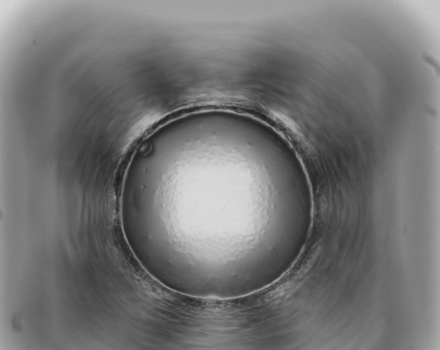 X0000095881267200801251132