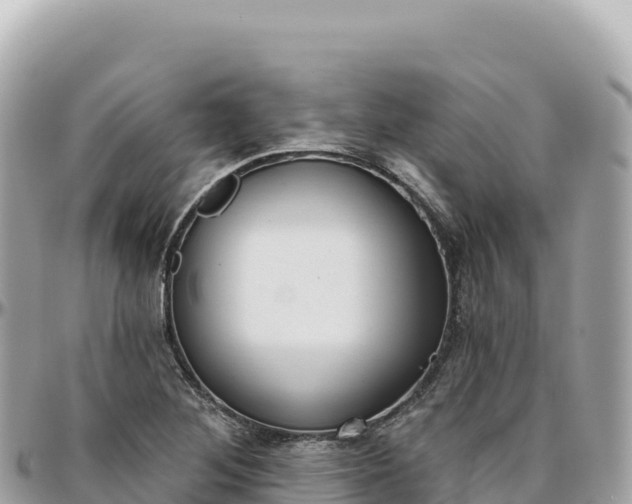 X0000095881268200801251132