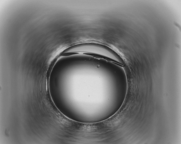 X0000095881269200801251132