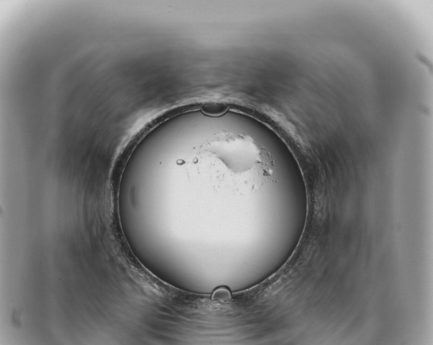 X0000095881270200801251132