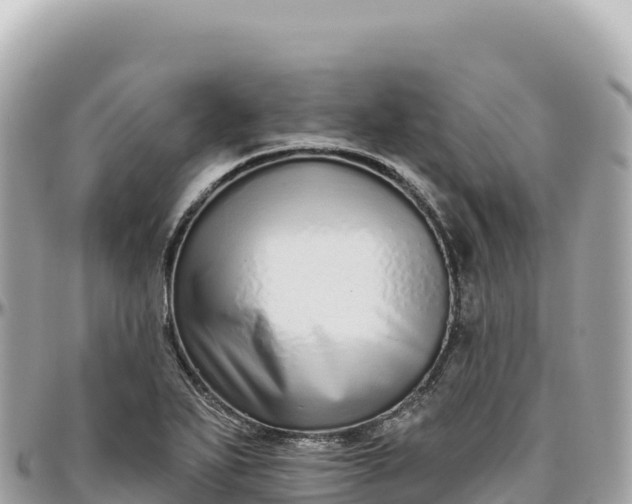 X0000095881271200801251132