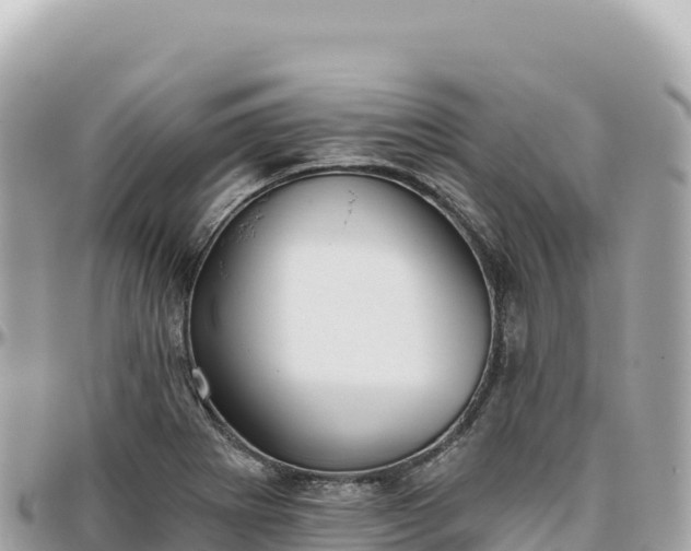 X0000095881273200801251132