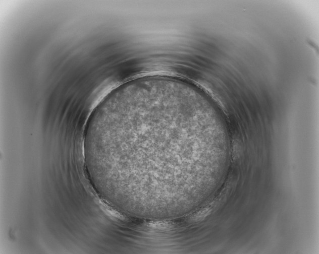 X0000095881274200801251132