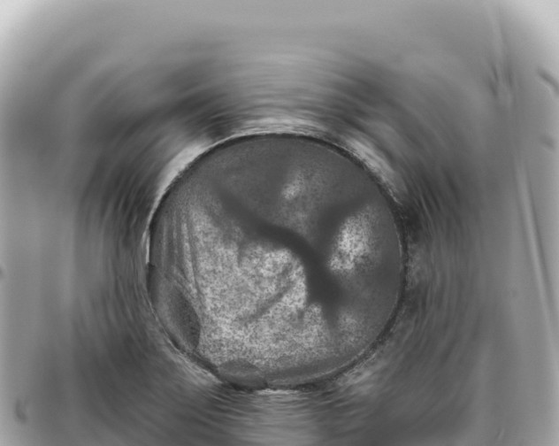 X0000095881275200801251132