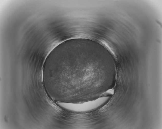 X0000095881276200801251132