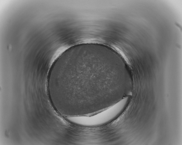 X0000095881277200801251132