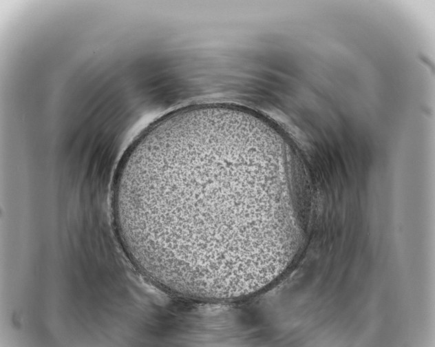 X0000095881278200801251132