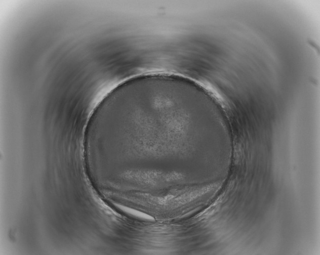 X0000095881279200801251132