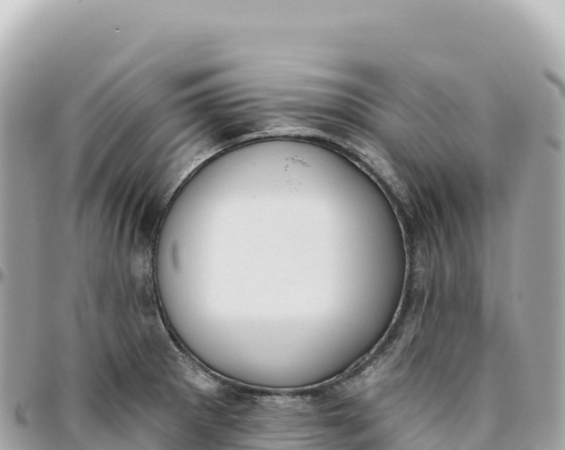 X0000095881281200801251132