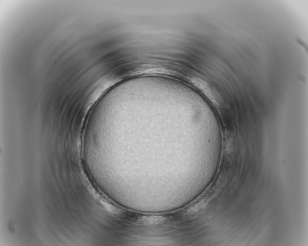 X0000095881282200801251132