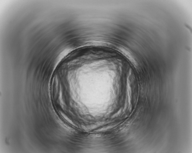 X0000095881283200801251132