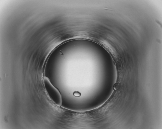 X0000095881284200801251132