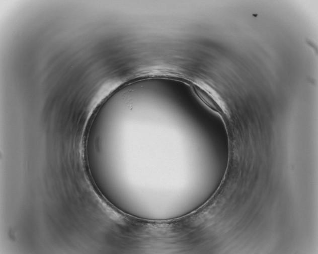 X0000095881285200801251132