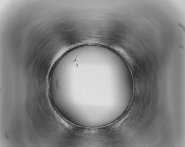 X0000095881286200801251132