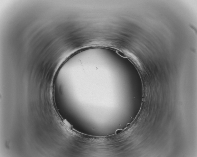 X0000095881288200801251132