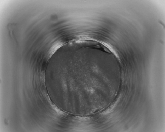 X0000095881289200801251132