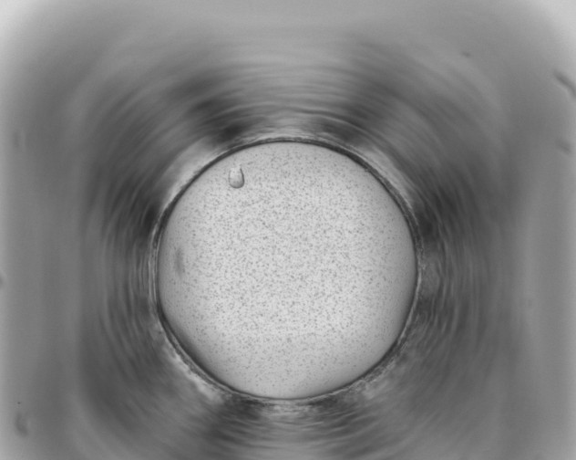 X0000095881290200801251132