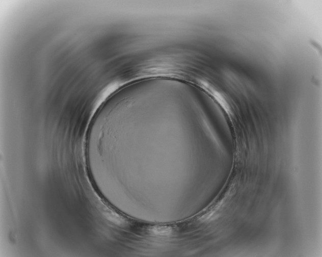 X0000095881291200801251132