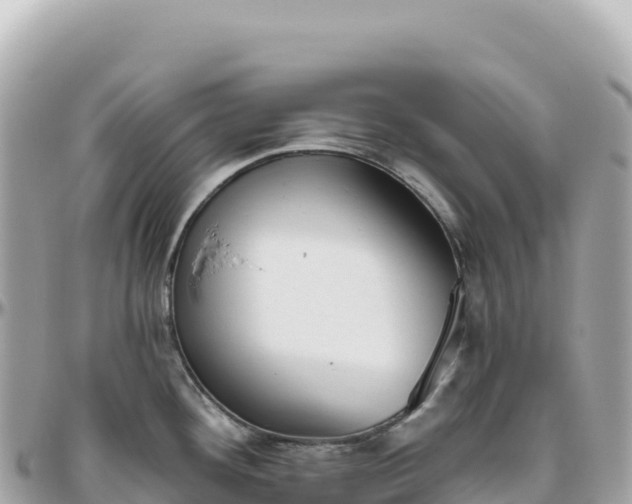 X0000095881292200801251132