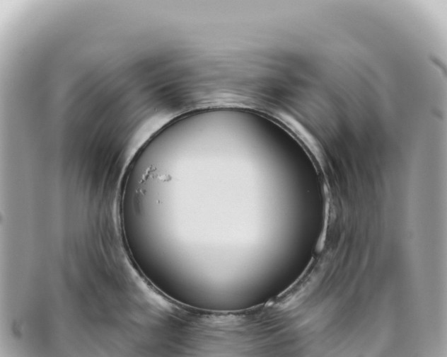 X0000095881293200801251132