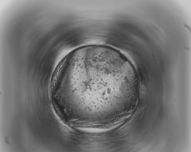 X0000095881295200801251132