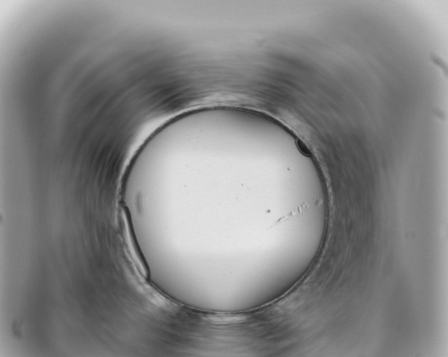 X0000095881296200801251132