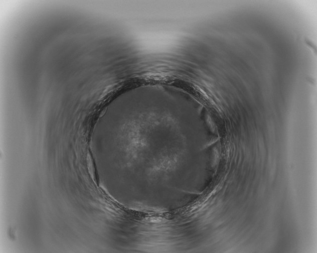 X0000095881297200801251131